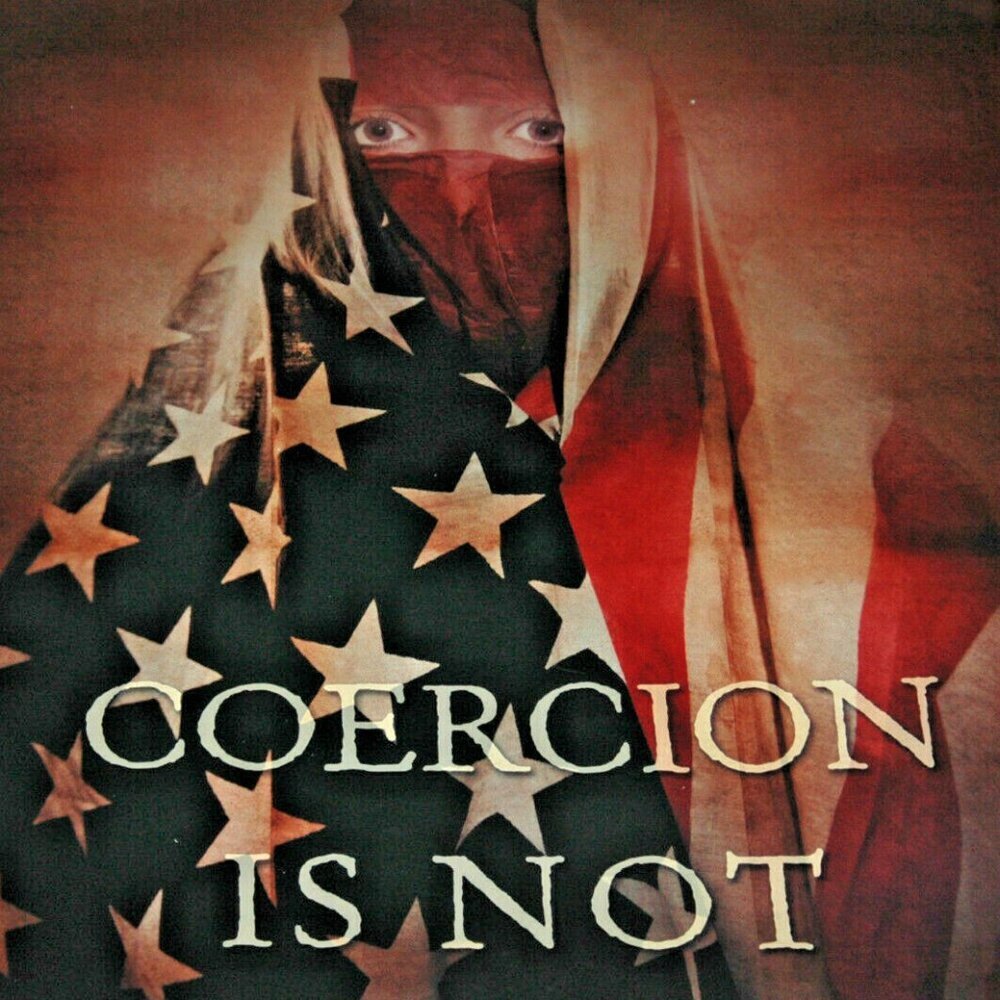 Poster Titled "VEILED"  Coercion Is Not Glory 27x28